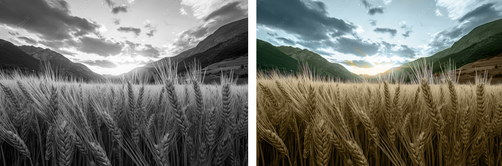 Colour Grading